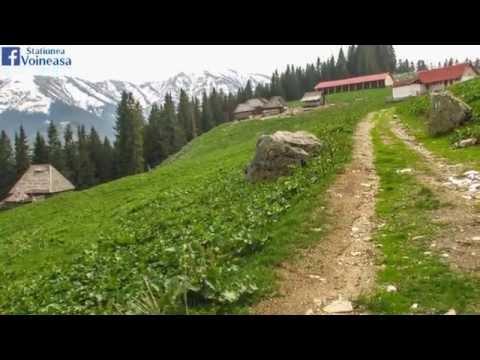 Muntii Capatanii - Piatra Tarnovului