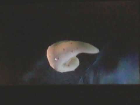 The Spongebob Squarepants Movie (PS2) Walkthrough Part 12