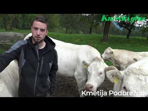 Pitance v dolino, krave dojilje pa v hribe: Kmetija Podbrežnik