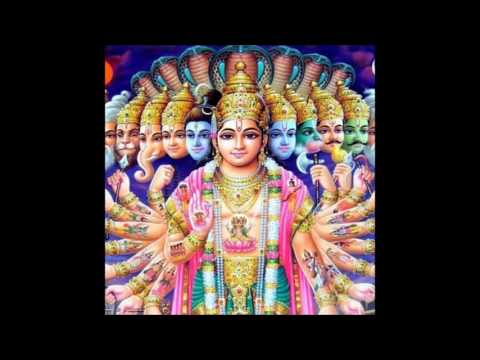 Boom Duck - Pushkar Trip