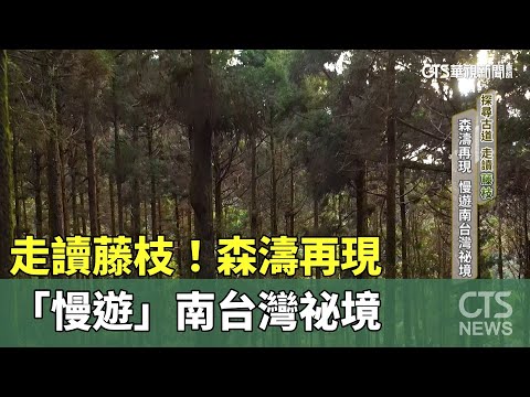 走讀藤枝！森濤再現　「慢遊」南台灣祕境