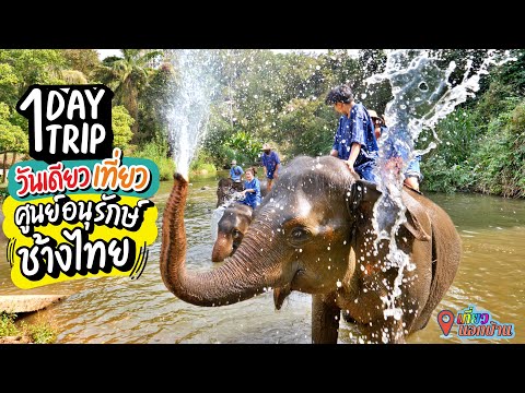 ศูนย์อนุรักษ์ช้างไทย (สวนป่าทุ่งเกวียน)