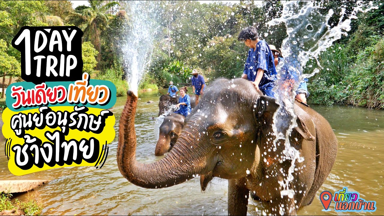 Thai Elephant Conservation Center
