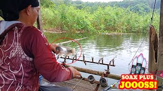 Download lagu This rarely-fished spot actually has a lot of fish! || Soax plus assembled by Ari Sangkali mp3