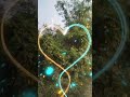Prakriti Ka Ek Aur Sundar Drishya ️ SunriseJungleBeat Shayari928