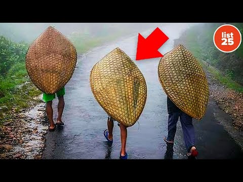 Most Disturbing Mysteries Nature Has Ever Revealed