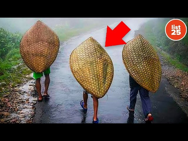 Most Disturbing Mysteries Nature Has Ever Revealed