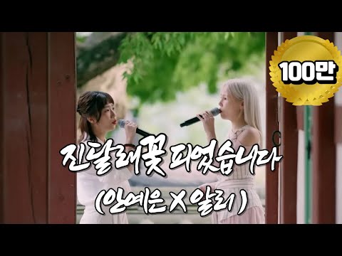 [Special Clip] 알리x안예은 '진달래꽃 피었습니다' 듀엣 LIVE