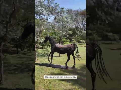 Exklusive Hotel- & Wohnanlage mit traumhaftem Seeblick in Cordillera/Paraguay zu verkaufen