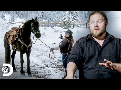 Noah tenta domar um cavalo selvagem | A grande família do Alasca | Discovery Brasil
