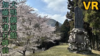 犬鳴御別館 桜 加藤司書石碑 VR