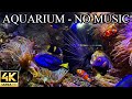 Finding Nemo And Dory Dream AQUARIUM 4K Coral Reef NO Music NO Ads Aquarium Sounds For Sleeping