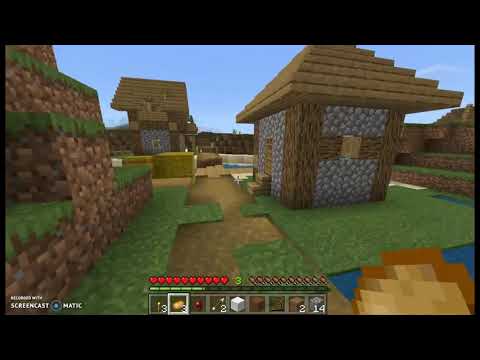 Ho trovato un villaggio della V. 1.14/Vanilla #2-Minecraft ITA
