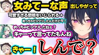 BBAいじりし合う3人、可愛すぎる悲鳴をいじられキレるのせさん、べにのしんじへの発言に動揺するのせさんｗ【一ノ瀬うるは/小森めと/八雲べに/ぶいすぽ】
