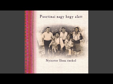 Kimentem a pusztinai nagy hegyre