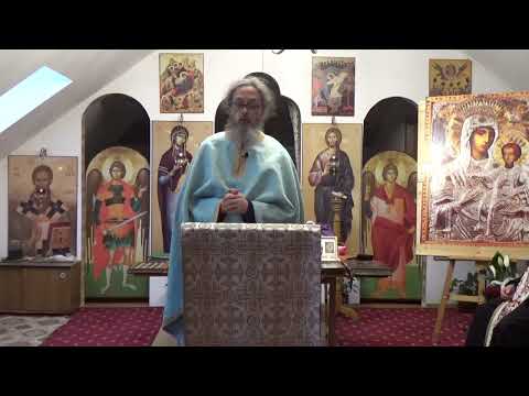 Pr. Dan Popovici – Starețul Ambrozie despre limită, smerenie și dreaptă socoteală