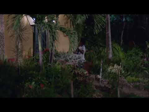 Miguel Morales le canta a Nevis Troya - Acompáñame - “Novela los morales”