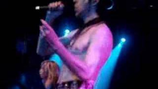 Satellite Party - Only Love, Let's Celebrate