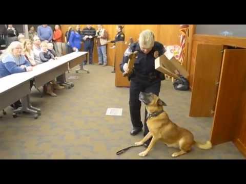 Rowdy K 9 retirement
