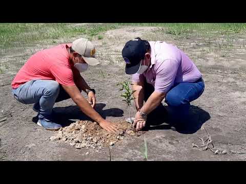 Biohuerto Municipal en la Provincia de Purús, video de YouTube