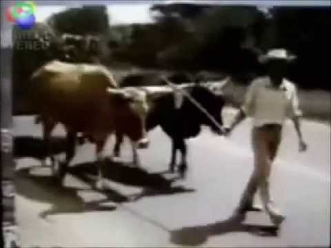 ANUNCIO DE KOLASHAMPAN (KOKISAND), el salvador de antano