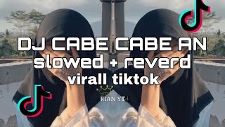 Download lagu DJ CABE CABEAN (Slowed   Reverb) TERBARU 2024 mp3