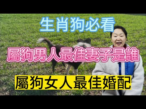 屬狗男性格