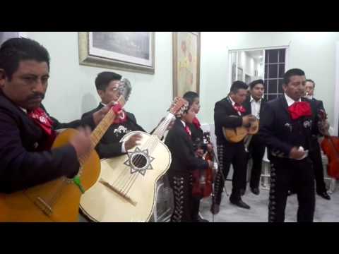 El Granito De Mostaza video