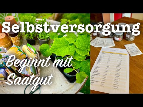 #56 Eigenes Saatgut herstellen🌽🍅 Nachhaltig und einfach
