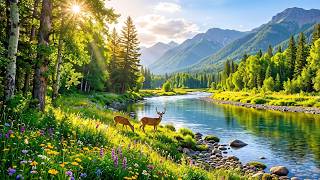 Music Therapy 🌿 Water Sounds for Anxiety Relief, Emotional Balance and Deep Relaxation