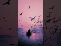 Dhoop Me TujHse Thandak Lyrics Arjitsinghsong Shorts Status