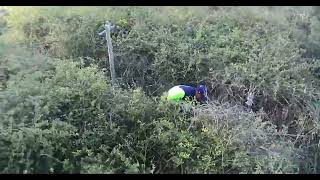 Dron registrando evidencia de incendio provocado intencionalmente por mal vecino #2