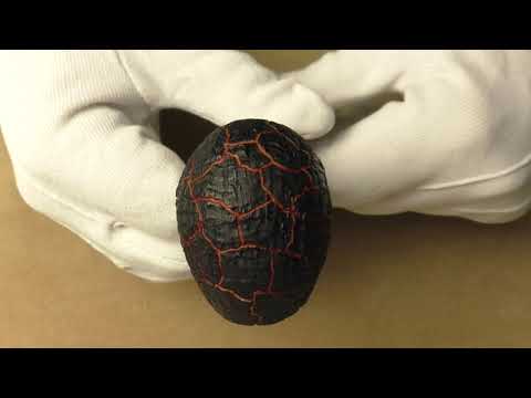 Ser Jacopo Maior S1 A - pipe 1423