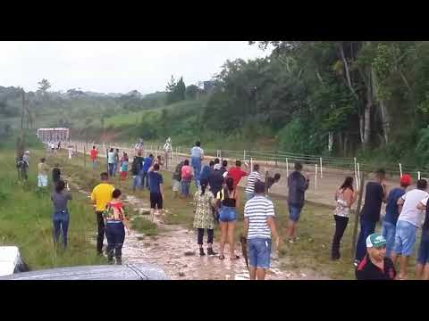 corrida do verdugo dash