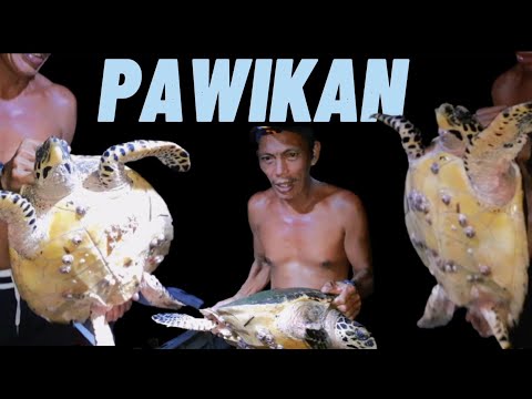 PAWIKAN |Part 1