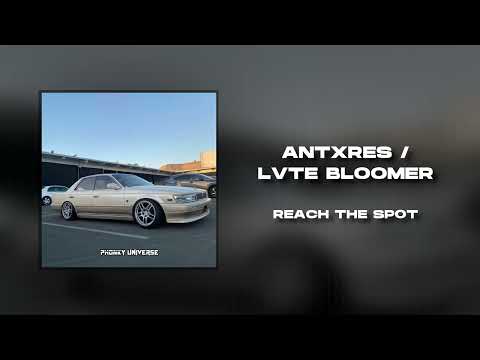 ANTXRES, LVTE BLOOMER - REACH THE SPOT