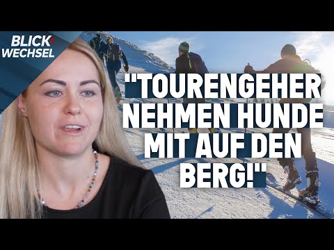 Probleme mit Skitourengehern nehmen zu | BLICKWECHSEL