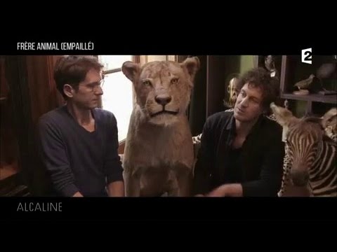 Alcaline, Les News du 13/12 avec Frère Animal