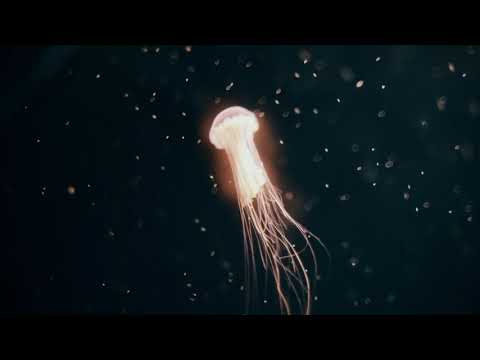 Glass.bone - I've come a long way, baby