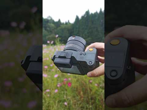 تشغيل الفيديو