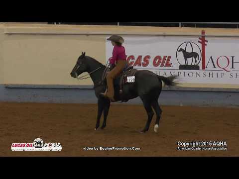 DOCS SHINEY AMBER ridden by LISA C REITER  - 2015 AQHA World Show (Prelims - Ama Ranch Riding L3)