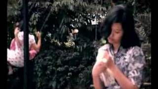 Lirik Lagu dan Chord Gitar White Shoes & The Couples Company - Senandung Maaf