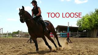 How Deep Should Arena Sand be for Jumping Horses?