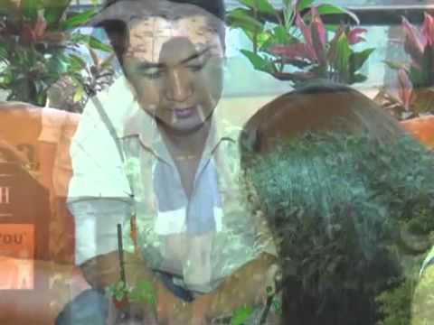 Online biathli - Salai Aa thang