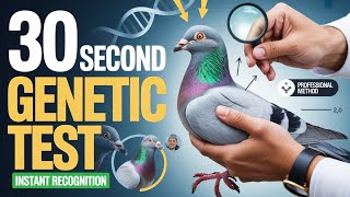 How to Identify Racing Genetics in Your Hand   Educational Script