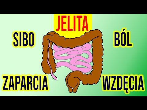 JELITA -  10 rad jak uzdrowić jelita 💖- Flora, SIBO - DIETA, ZIOŁA, SUPLEMENTY