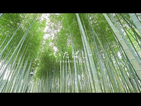 プロローグ "いたばし" 板橋区観光協会