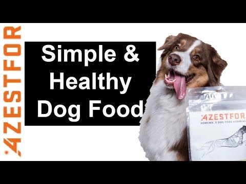 🐶🍽👌 How To Make Homemade Dog Food - Beef, Sweet...