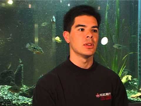 EVE Online Classic - Behind The Scenes - Mike Wallis, Producer