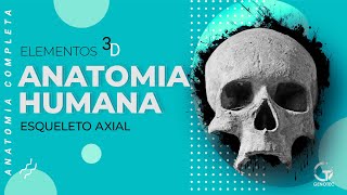 Anatomia Humana Completa - Esqueleto Axial (Ossos do Crâneo, da face, tórax e coluna vertebral)